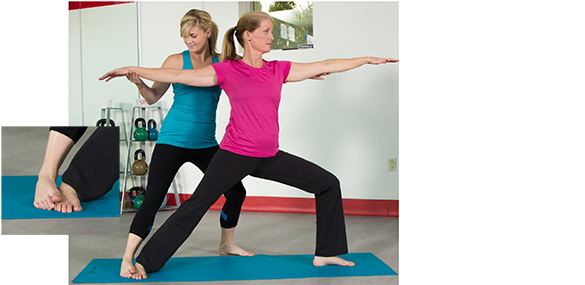 ACE - ProSource™: January 2014 - Yoga and the Art of Hands-on Adjustments